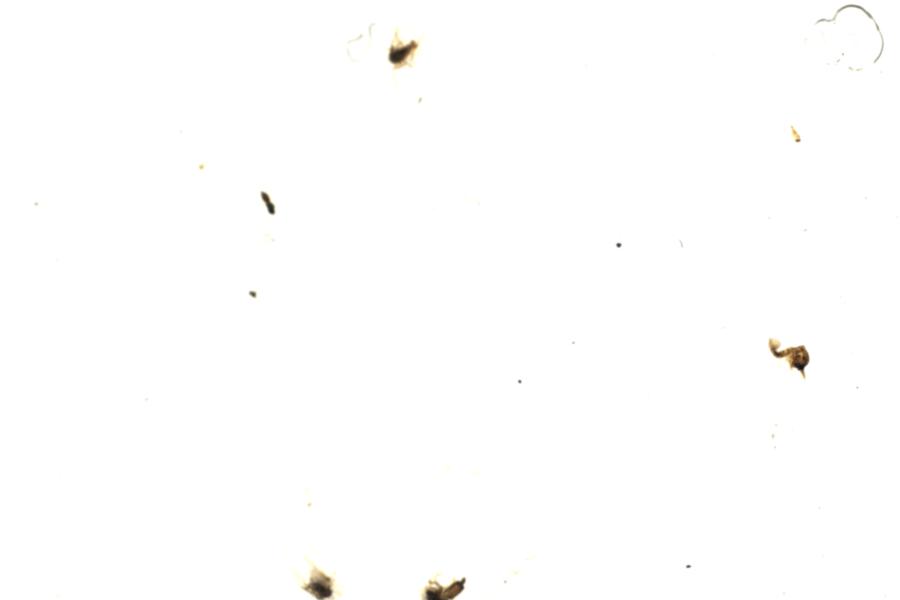 Image 114
